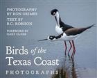 Birds of the Texas Coast: Photographs