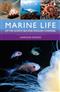 Marine Life of the North Sea and English Channel