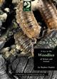 A Key to the Woodlice of Britain and Ireland