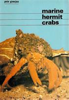 Marine Hermit Crabs