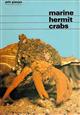 Marine Hermit Crabs