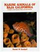 Marine Animals of Baja California: A Guide to the Common Fishes and Invertebrates