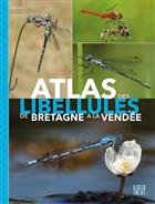 Atlas des libellules de la Bretagne à la Vendée