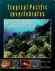 Tropical Pacific Invertebrates