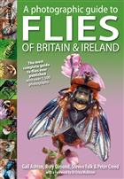 Photographic Guide to Flies of Britain & Ireland