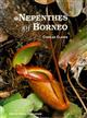 Nepenthes of Borneo