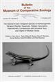 The Second Known Tetraploid Species of Parthenogenetic Tetrapod (Reptilia: Squamata: Teiidae): Description, Reproduction, Comparisons with Ancestral Taxa, and Origins of Multiple Clones