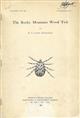 The Rocky Mountain Wood Tick