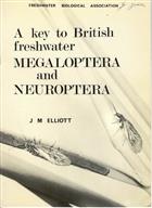 A Key to British Freshwater Megaloptera and Neuroptera with notes on their life cycles and ecology