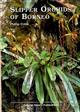 Slipper Orchids of Borneo