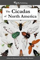 The Cicadas of North AmericaThe Cicadas of North America