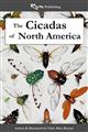 The Cicadas of North AmericaThe Cicadas of North America