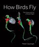 How Birds Fly: The Science and Art of Avian Flight