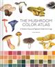 Mushroom Color Atlas: A Guide to Dyes and Pigments Made from Fungi