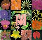 山溪カラー名鑑蘭ラン | Yamakei Colour Catalog of Orchids