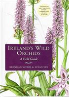 Ireland's Wild Orchids: A Field Guide