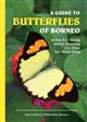 A Guide to Butterflies of Borneo