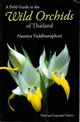 A Field Guide to the Wild Orchids of Thailand