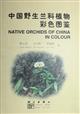 Native Orchids of China in Colour