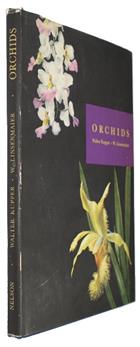 Orchids