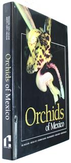 Orchids of Mexico