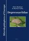 Depressariidae: Microlepidoptera of Europe 10