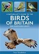 A Naturalist's Guide to the Birds of Britain and Northern Europe