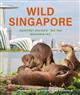 Wild Singapore