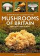 A Naturalist's Guide to the Mushrooms of Britain and Northern Europe