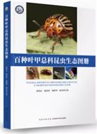 Natural History of Chrysomeloidea Beetles: A 100-Species Photographic Guide |百种叶甲总科昆虫生态图册(精)