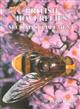 British Hoverflies Second Supplement