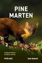 Pine Marten: The Secret Life of Martes martes