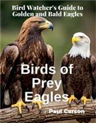 Birds of Prey Eagles: Bird Watcher's Guide to Golden and Bald Eagles