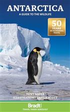 Antarctica: A Guide to the Wildlife