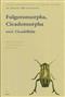 The Auchenorrhyncha of Central Europe. Die Zikaden Mitteleuropas. Vol. 1: Fulgoromorpha, Cicadomorpha excl. Cicadellidae