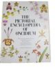 The Pictorial Encyclopedia of Oncidium