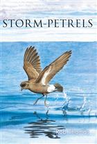 Storm-petrels