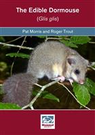 The Edible Dormouse (Glis glis)