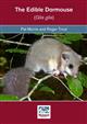 The Edible Dormouse (Glis glis)