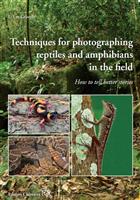 Techniques for photographing reptiles and amphibians in the field: How to tell better stories