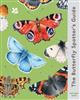 The Butterfly Spotter's Guide