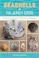 Seashells of the Jersey Shore: Identify and Learn about the Shells You Find on the Beach