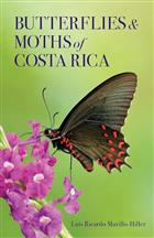 Butterflies and Moths of Costa Rica