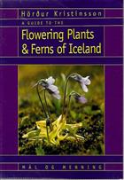 A Guide to the Flowering Plants and Ferns of Iceland