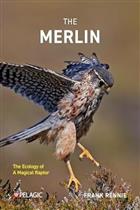 The Merlin: The Ecology of a Magical Raptor