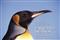 Visitor's Guide to the Falkland Islands