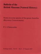 Notes on some species of the genus Amathia (Bryozoa, Ctenostomata)